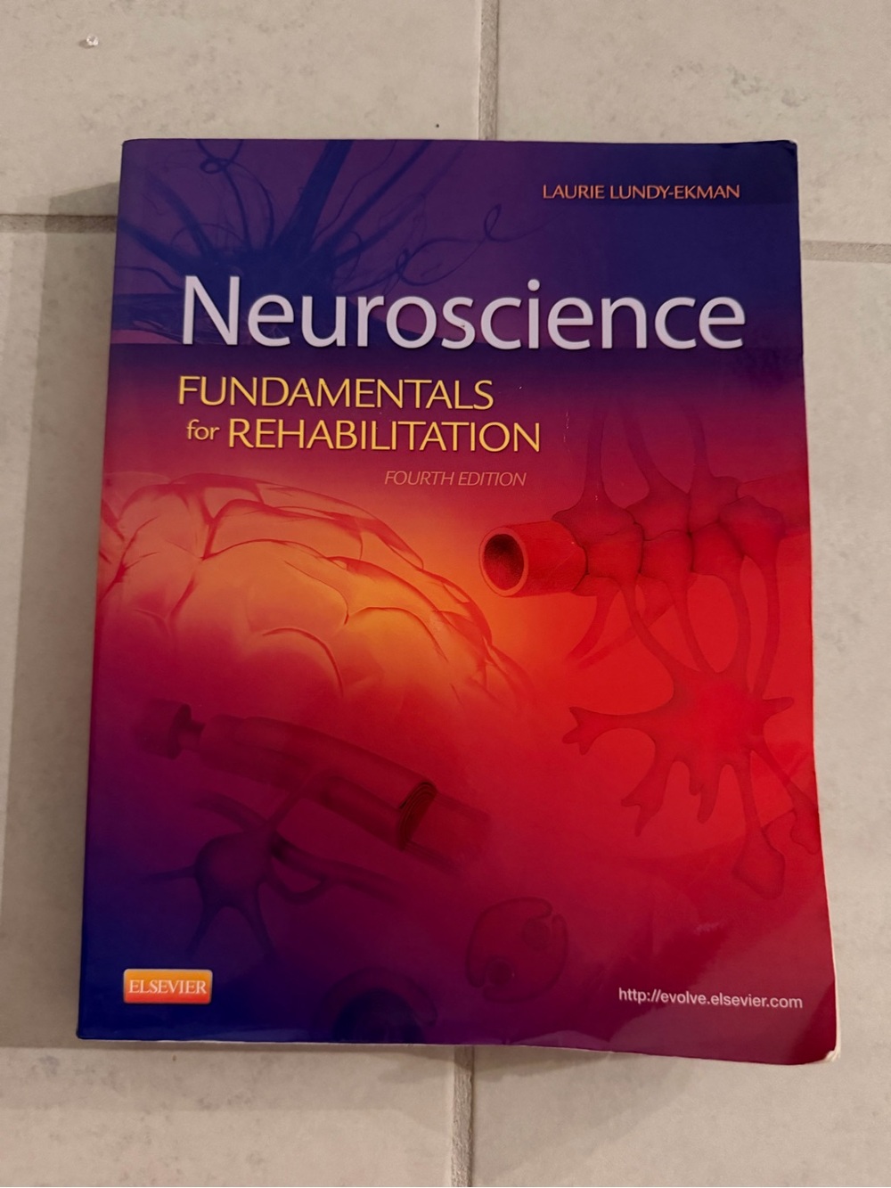 Neuroscience Fundamentals for Rehabilitation -4th edition by Lundy-Ekman
